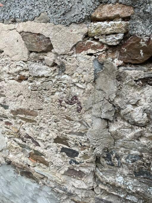 Maisonnette De PecheurL'Aubraie エクステリア 写真